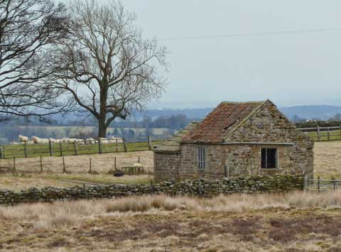 Local stone building